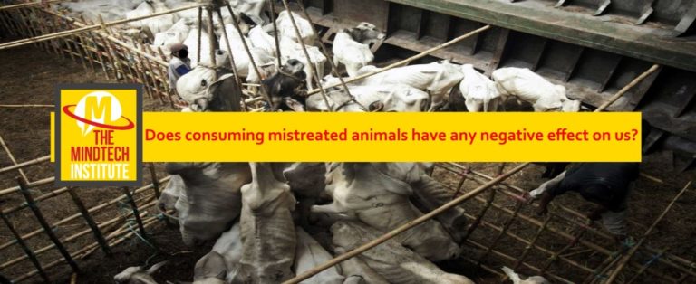 Does Consuming Mistreated Animals have any Negative Effect on Us?